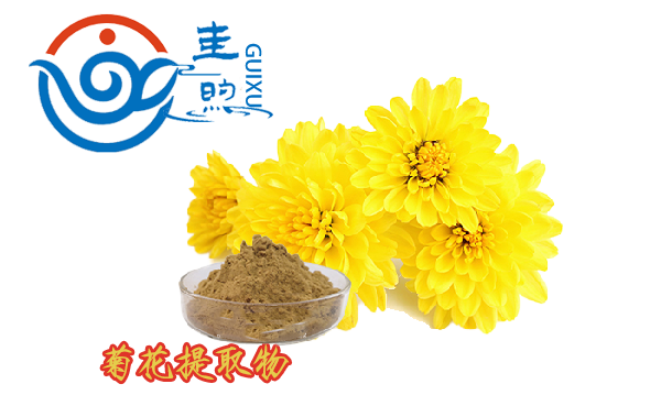 菊花提取物