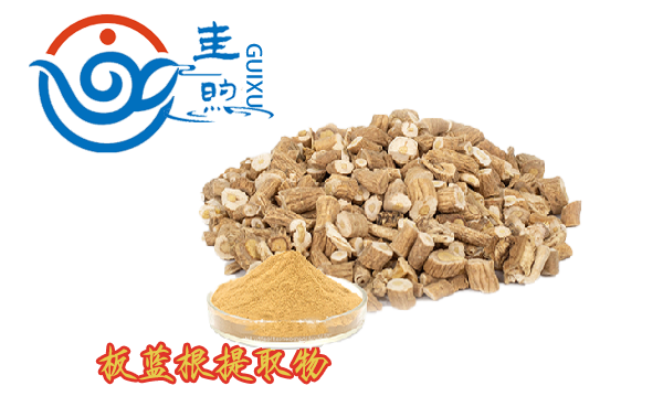 板蓝根提取物