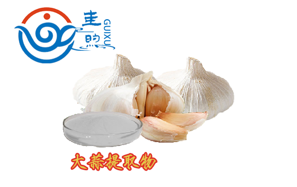 大蒜提取物、大蒜粉
